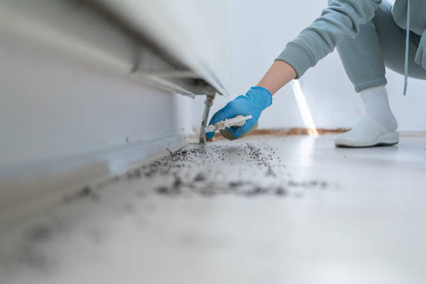 Best Pest Inspection Near Me  in Mcdonald, PA